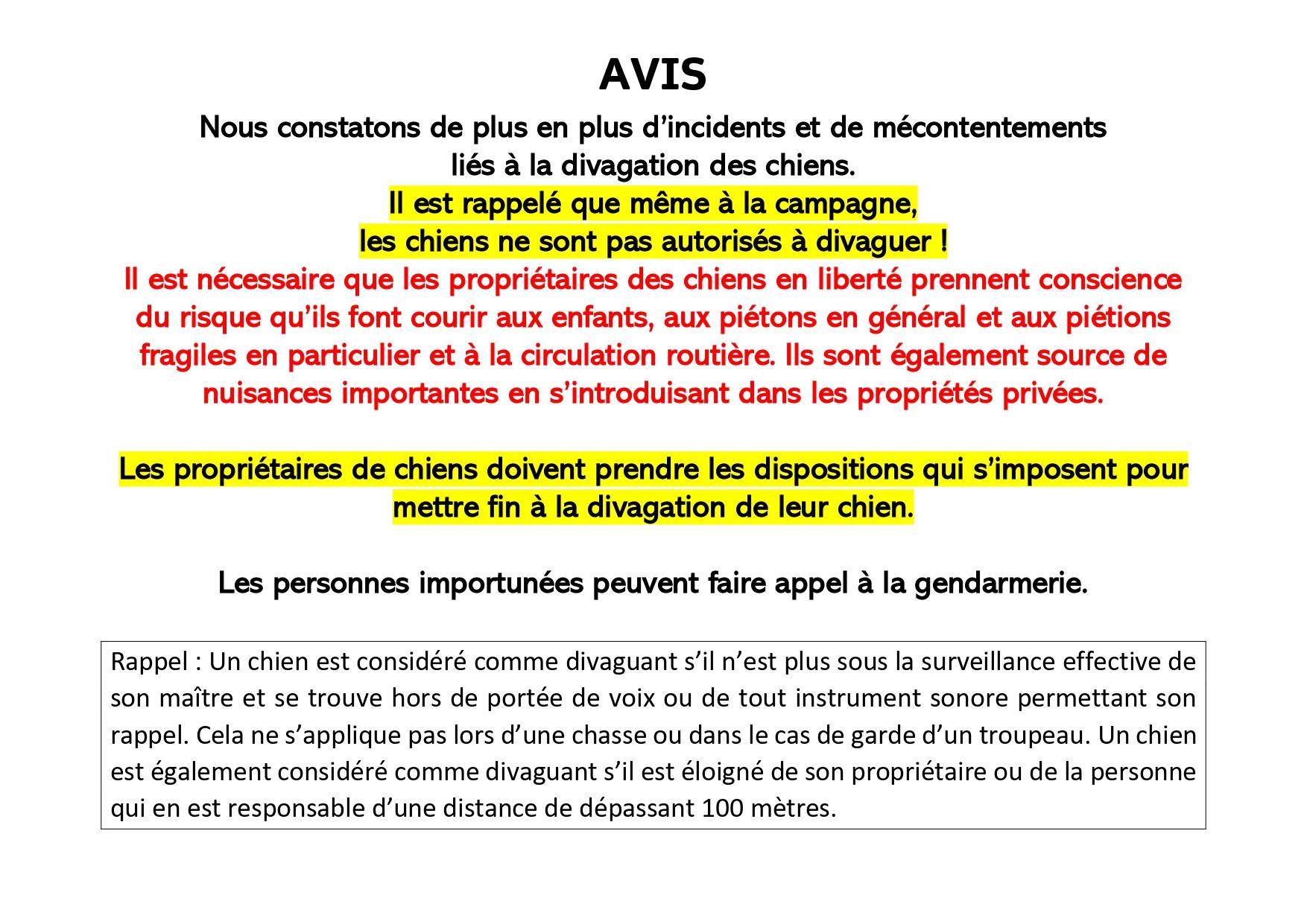Divagation chiens page 0001