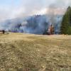 Feu cotalait