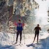 Ski de fond 4
